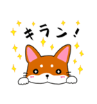 柴犬そらこ【オノマトペ】（個別スタンプ：10）