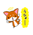 柴犬そらこ【オノマトペ】（個別スタンプ：16）