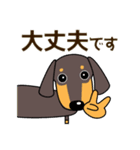 使いやすい ダックスフンド 犬好きな方へ（個別スタンプ：2）