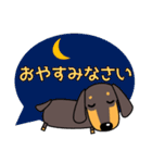 使いやすい ダックスフンド 犬好きな方へ（個別スタンプ：5）