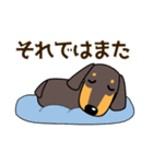 使いやすい ダックスフンド 犬好きな方へ（個別スタンプ：7）