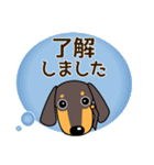 使いやすい ダックスフンド 犬好きな方へ（個別スタンプ：9）