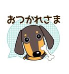 使いやすい ダックスフンド 犬好きな方へ（個別スタンプ：10）