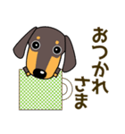 使いやすい ダックスフンド 犬好きな方へ（個別スタンプ：11）