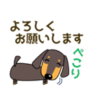 使いやすい ダックスフンド 犬好きな方へ（個別スタンプ：13）