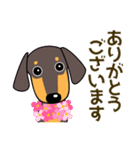 使いやすい ダックスフンド 犬好きな方へ（個別スタンプ：14）