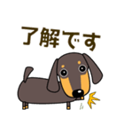 使いやすい ダックスフンド 犬好きな方へ（個別スタンプ：15）