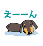 使いやすい ダックスフンド 犬好きな方へ（個別スタンプ：28）