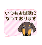 使いやすい ダックスフンド 犬好きな方へ（個別スタンプ：30）