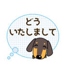 使いやすい ダックスフンド 犬好きな方へ（個別スタンプ：31）