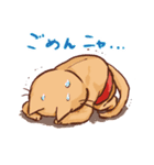 ムキムキニャンコたち（個別スタンプ：4）