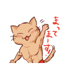 ムキムキニャンコたち（個別スタンプ：5）