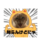 知らんけどなスタンプ（個別スタンプ：2）