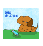 犬と使いやすい挨拶（個別スタンプ：14）