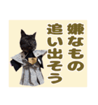 いけてるねこにも衣装（個別スタンプ：9）