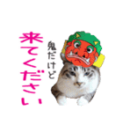 いけてるねこにも衣装（個別スタンプ：30）