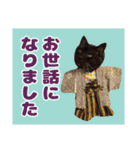 いけてるねこにも衣装（個別スタンプ：38）