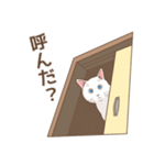 白猫たーちん（個別スタンプ：15）