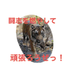 可愛い動物たちが気持ち伝えてますわっ（個別スタンプ：32）