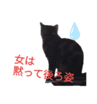 花さんちの猫4（個別スタンプ：8）
