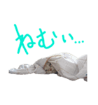 花さんちの猫4（個別スタンプ：9）