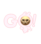 ねこねこえむず（個別スタンプ：8）