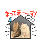 ねこねこえむず（個別スタンプ：18）