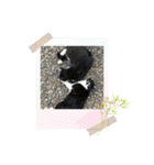 ねこねこえむず（個別スタンプ：23）