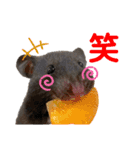 ちーずとおはぎ（個別スタンプ：7）