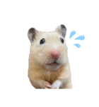 ちーずとおはぎ（個別スタンプ：8）