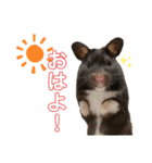 ちーずとおはぎ（個別スタンプ：11）