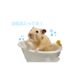 ちーずとおはぎ（個別スタンプ：14）