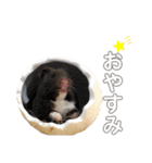 ちーずとおはぎ（個別スタンプ：15）