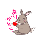 茶うさぎさんと白うさぎさん（個別スタンプ：1）
