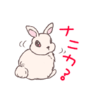 茶うさぎさんと白うさぎさん（個別スタンプ：2）