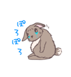 茶うさぎさんと白うさぎさん（個別スタンプ：3）