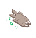 茶うさぎさんと白うさぎさん（個別スタンプ：4）