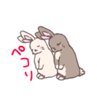 茶うさぎさんと白うさぎさん（個別スタンプ：6）