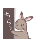 茶うさぎさんと白うさぎさん（個別スタンプ：7）