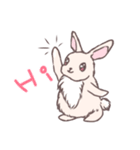 茶うさぎさんと白うさぎさん（個別スタンプ：11）