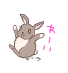 茶うさぎさんと白うさぎさん（個別スタンプ：13）