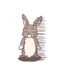 茶うさぎさんと白うさぎさん（個別スタンプ：14）