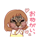 毎日つかえる真顔ねこスタンプ（個別スタンプ：7）