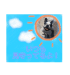 りろとこつぶ（個別スタンプ：3）