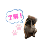 りろとこつぶ（個別スタンプ：5）