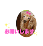 りろとこつぶ（個別スタンプ：9）