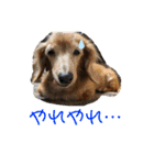りろとこつぶ（個別スタンプ：14）