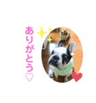 りろとこつぶ（個別スタンプ：17）