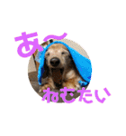 りろとこつぶ（個別スタンプ：22）