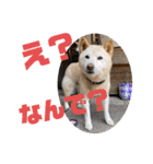 りろとこつぶ（個別スタンプ：26）